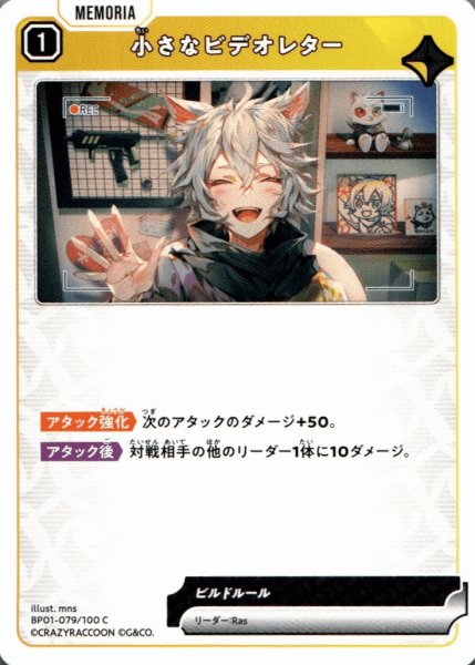 画像1: 小さなビデオレター［C］ (1)