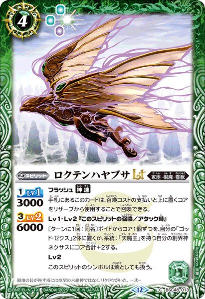 画像1: ロクテンハヤブサLt【C】 (1)